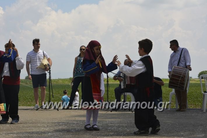 alexandriamou.gr_trikala28.5.2018209